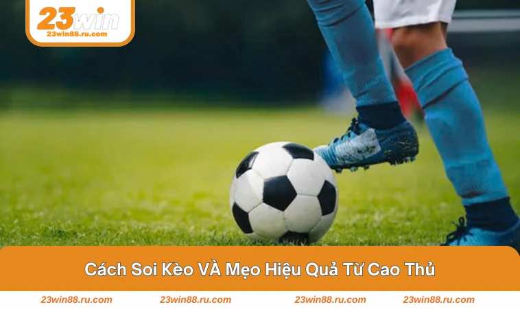 Mẹo soi kèo và đặt cược hiệu quả giúp bạn thắng cực đỉnh 