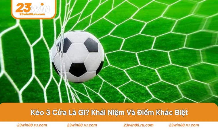 Biểu đồ minh họa ba cửa cược với phần trăm thắng - hòa - thua 