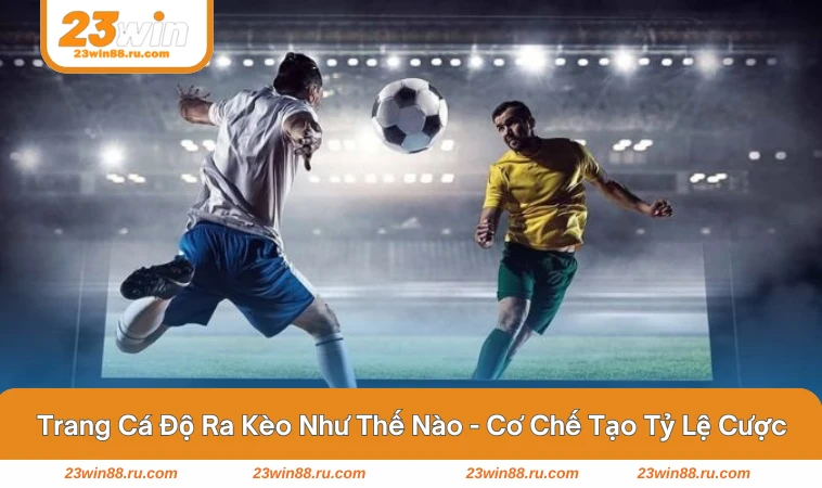 Mô phỏng quy trình nhà cái phân tích và điều chỉnh kèo 